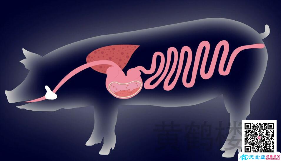 動(dòng)漫廣告制作虛實(shí)結(jié)合,拓展廣告創(chuàng)意空間.jpg 動(dòng)漫廣告制作虛實(shí)結(jié)合,拓展廣告創(chuàng)意空間.jpg