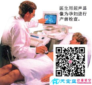 為什么B超能診斷疾?。?jpg