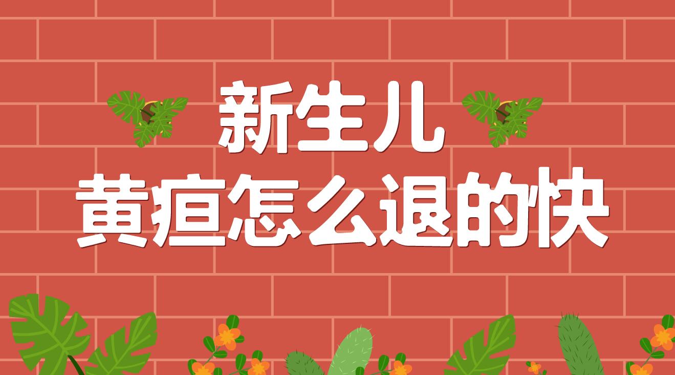 新生兒黃疸怎么退的快？.jpg