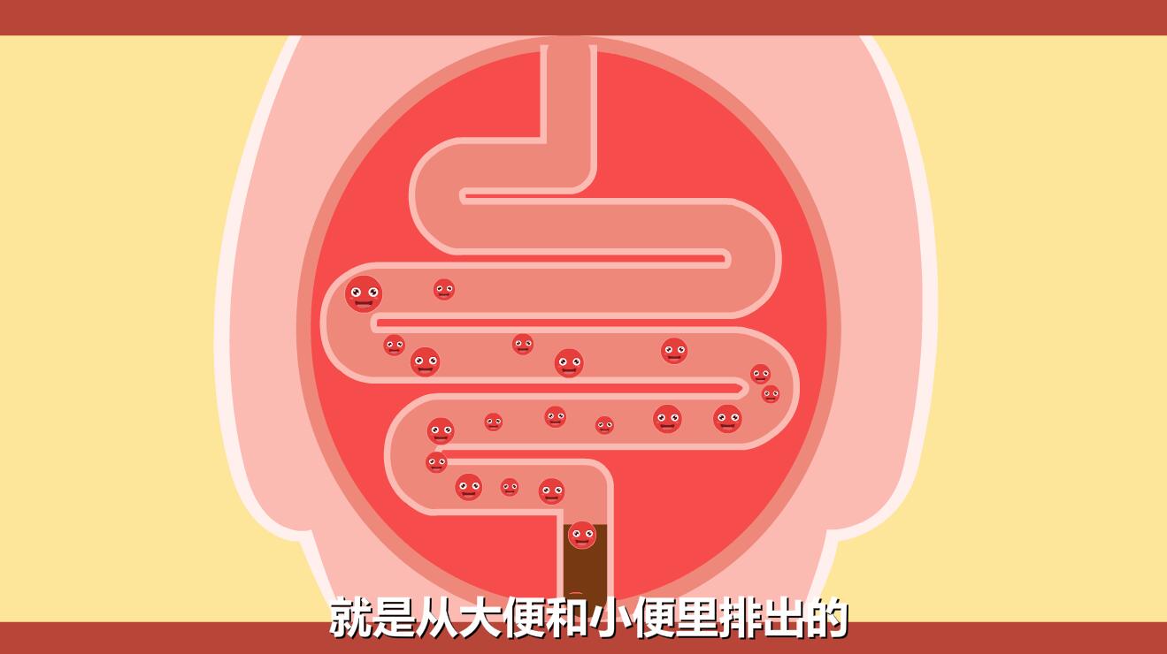 新生兒黃疸怎么退的快？膽紅素跟隨大小便排除體外.jpg