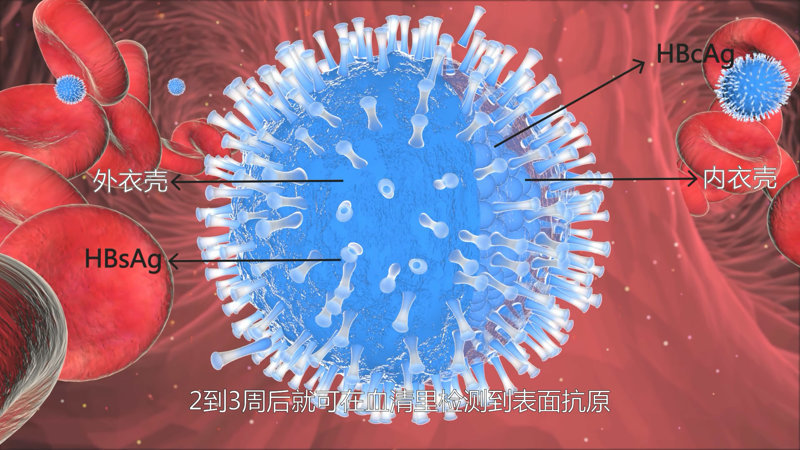 醫(yī)學(xué)動(dòng)畫制作 醫(yī)學(xué)動(dòng)畫制作
