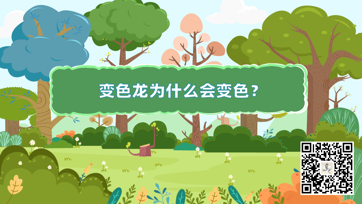 十萬個(gè)為什么動(dòng)物篇封面(變色龍二維碼)-01-01.jpg 十萬個(gè)為什么動(dòng)物篇封面(變色龍二維碼)-01-01.jpg