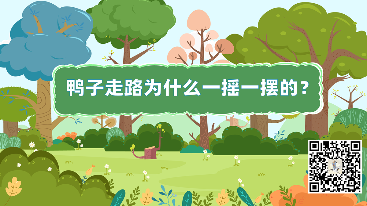 鴨子走路二維碼.png 鴨子走路二維碼.png