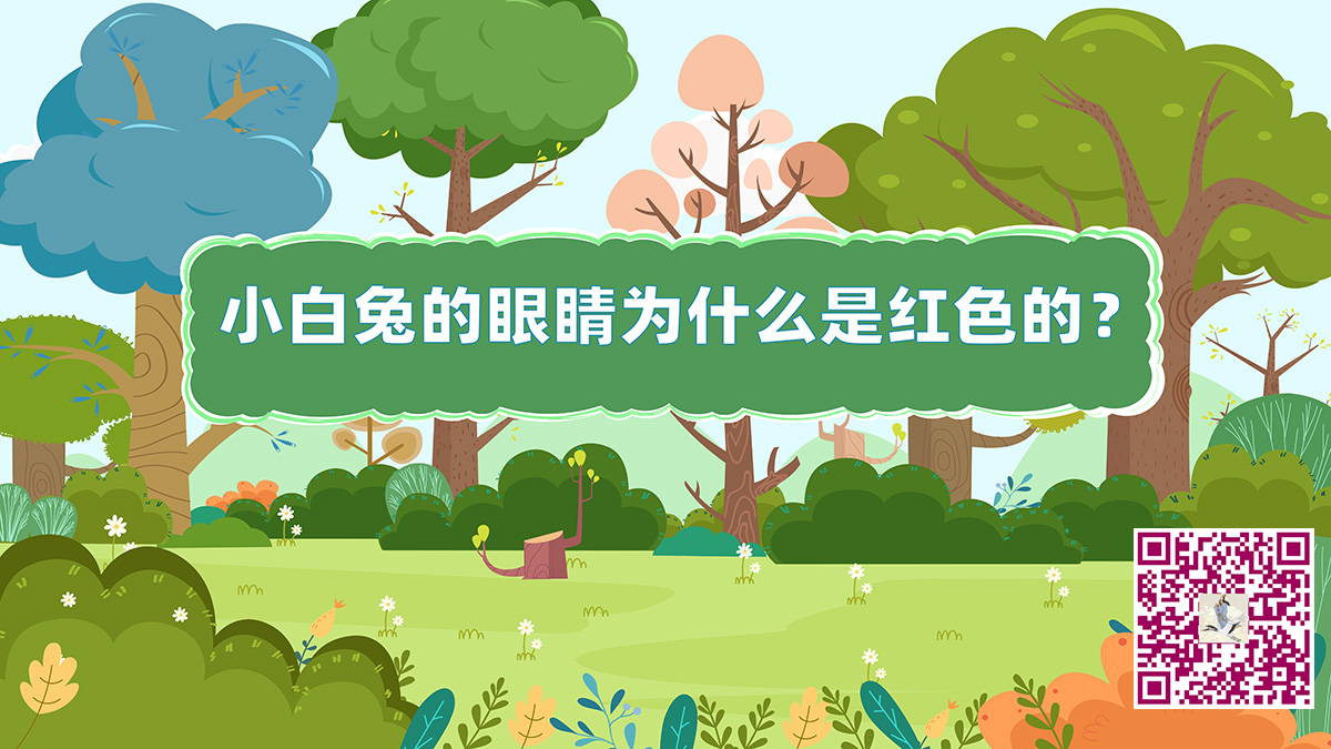 小白兔眼睛二維碼.jpg 小白兔眼睛二維碼.jpg