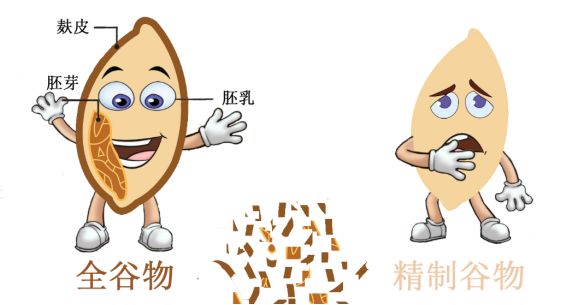 黃鶴樓動(dòng)漫 黃鶴樓動(dòng)漫