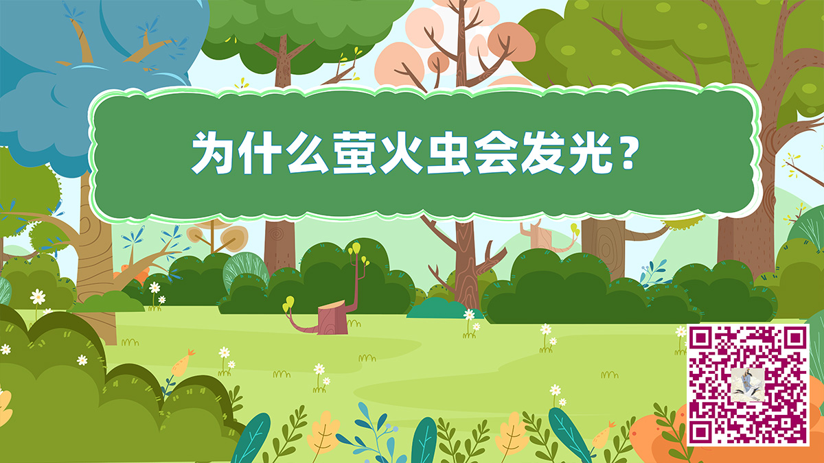 螢火蟲為什么會發(fā)給二維碼.jpg 螢火蟲為什么會發(fā)給二維碼.jpg