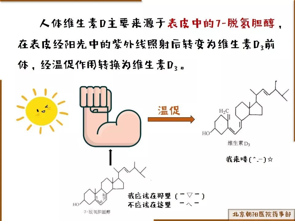 黃鶴樓動(dòng)漫 黃鶴樓動(dòng)漫
