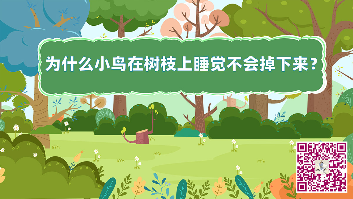 小鳥(niǎo)樹(shù)枝睡覺(jué)二維碼.jpg 小鳥(niǎo)樹(shù)枝睡覺(jué)二維碼.jpg