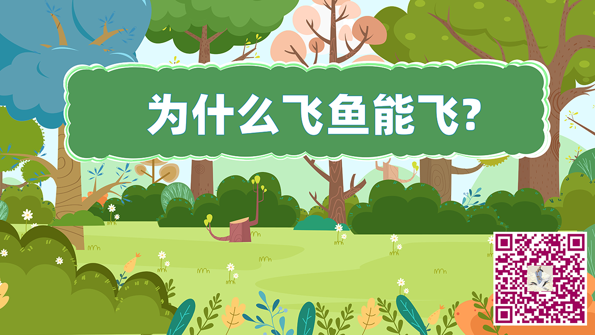 飛魚(yú)飛二維碼.png 飛魚(yú)飛二維碼.png