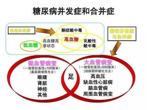 黃鶴樓動漫 黃鶴樓動漫