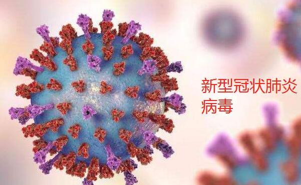 預防控制新型冠狀病毒肺炎：病毒最多存活幾天？.jpg