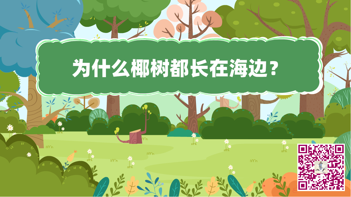 十萬(wàn)個(gè)為什么海邊椰樹(shù).png 十萬(wàn)個(gè)為什么海邊椰樹(shù).png