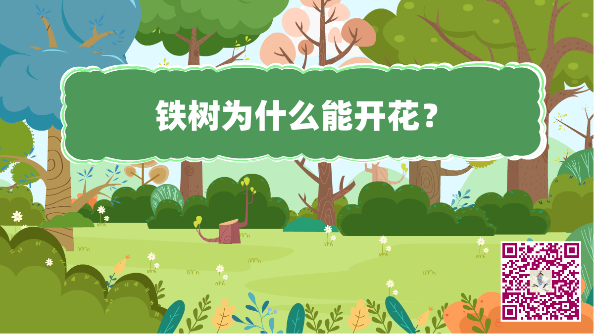 十萬(wàn)個(gè)為什么標(biāo)題(鐵樹(shù)開(kāi)花1200).png 十萬(wàn)個(gè)為什么標(biāo)題(鐵樹(shù)開(kāi)花1200).png