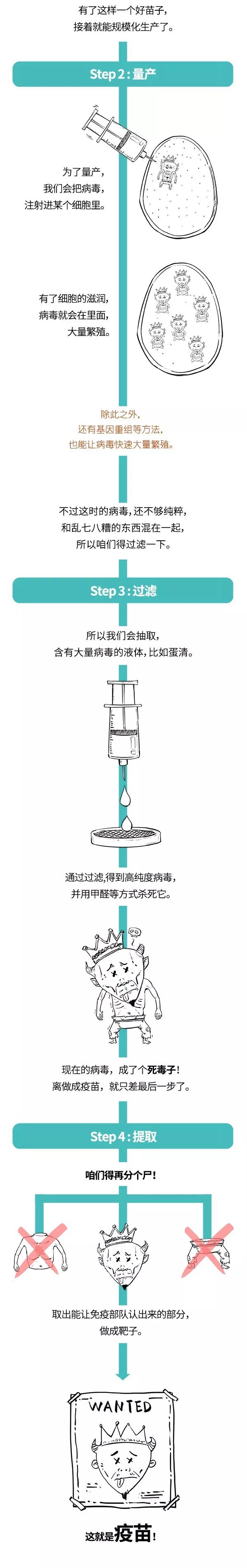 疫苗的規(guī)?；a.jpg