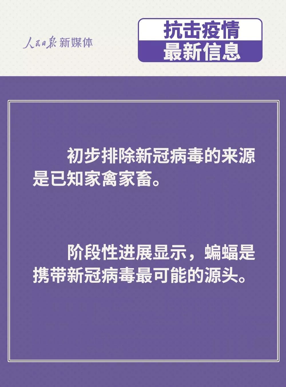 防控新型冠狀病毒：雞鴨會(huì)傳播病毒？疫苗研究得怎樣？.jpg