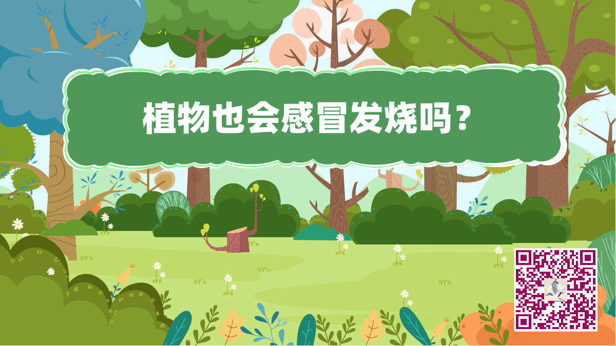 十萬個(gè)為什么標(biāo)題(植物發(fā)燒)1200.png 十萬個(gè)為什么標(biāo)題(植物發(fā)燒)1200.png