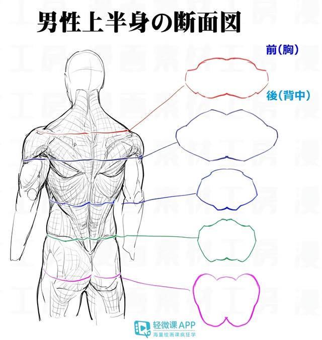 黃鶴樓動漫 黃鶴樓動漫