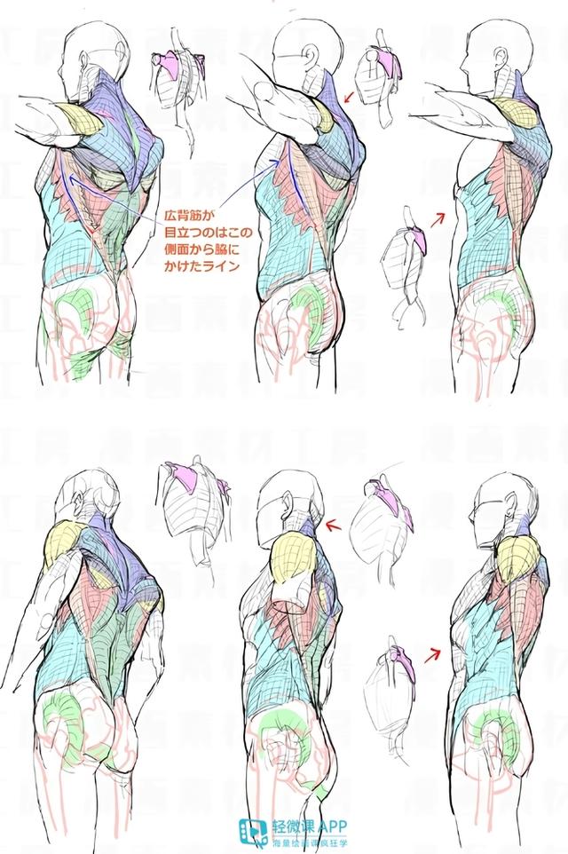 黃鶴樓動漫 黃鶴樓動漫