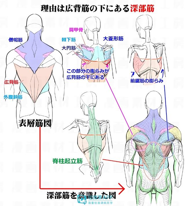 黃鶴樓動漫 黃鶴樓動漫