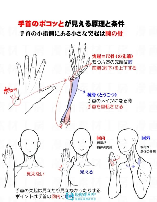 黃鶴樓動漫 黃鶴樓動漫