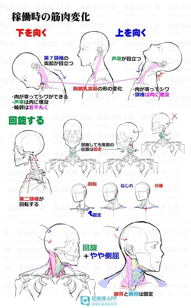 黃鶴樓動漫 黃鶴樓動漫