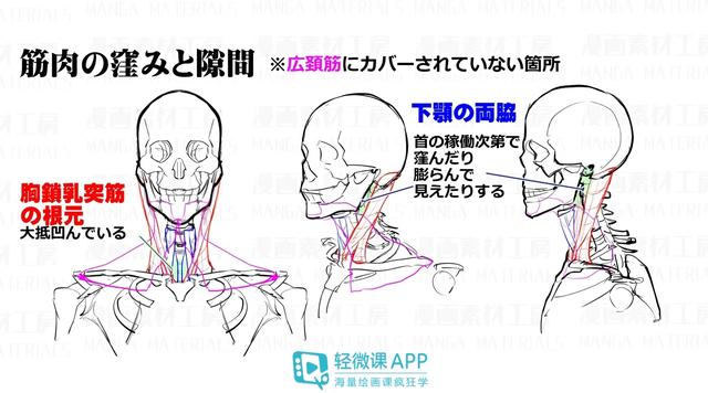 黃鶴樓動漫 黃鶴樓動漫