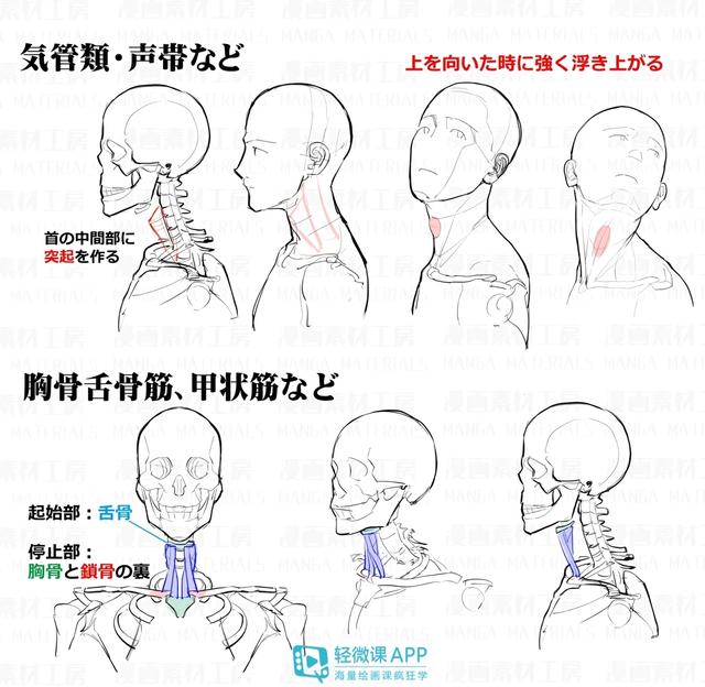 黃鶴樓動漫 黃鶴樓動漫
