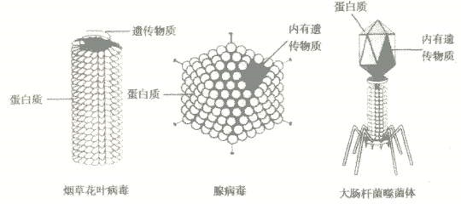 黃鶴樓動漫 黃鶴樓動漫