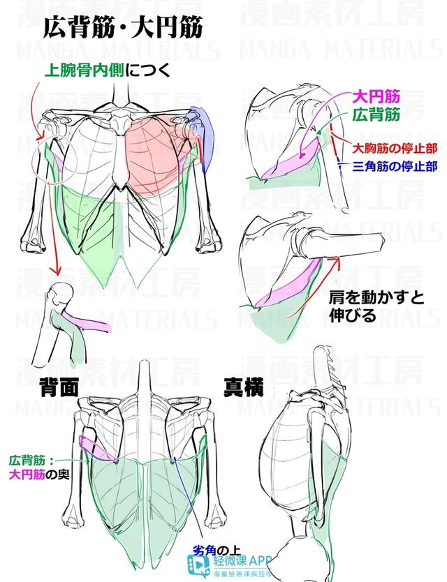 黃鶴樓動漫 黃鶴樓動漫