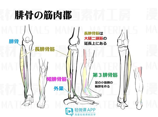 黃鶴樓動漫 黃鶴樓動漫