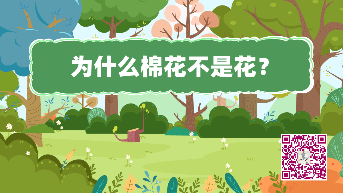 十萬(wàn)個(gè)為什么標(biāo)題(棉花)1200.png 十萬(wàn)個(gè)為什么標(biāo)題(棉花)1200.png