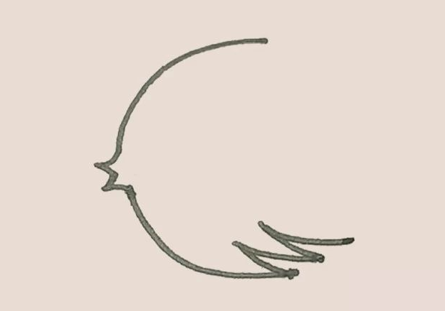 下面的弧線，再畫上幾段弧線作為裝飾。.png