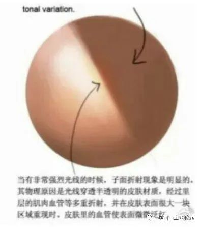 黃鶴樓動(dòng)漫 黃鶴樓動(dòng)漫