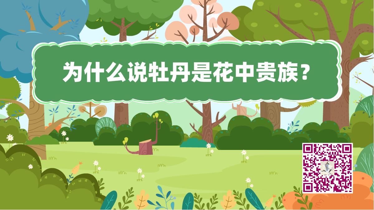 十萬(wàn)個(gè)為什么標(biāo)題(牡丹貴族)1200.png 十萬(wàn)個(gè)為什么標(biāo)題(牡丹貴族)1200.png