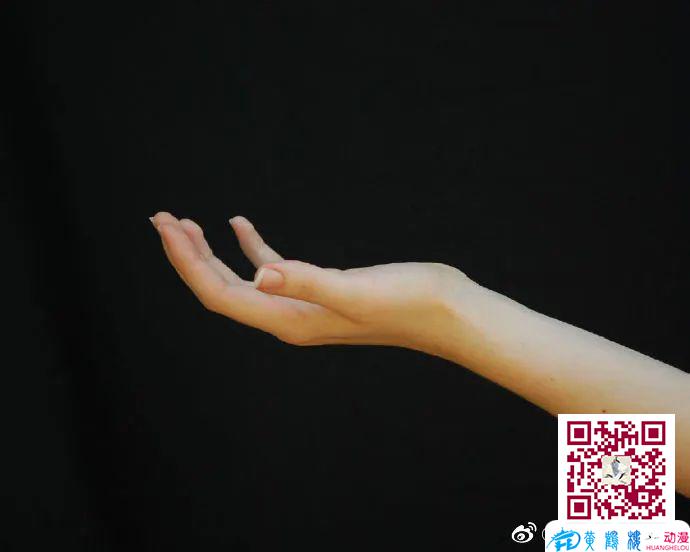 手畫不好，有什么辦法可以練手的畫法嗎？