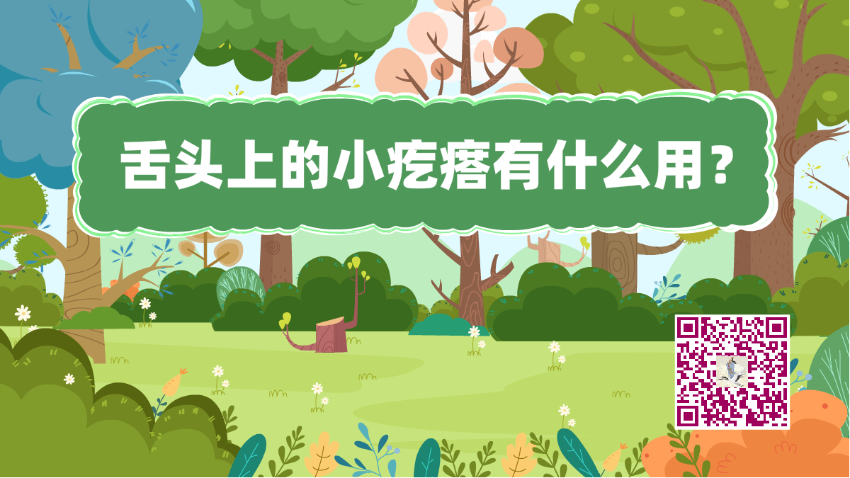 十萬個為什么標題(舌頭小疙瘩)1200.png 十萬個為什么標題(舌頭小疙瘩)1200.png