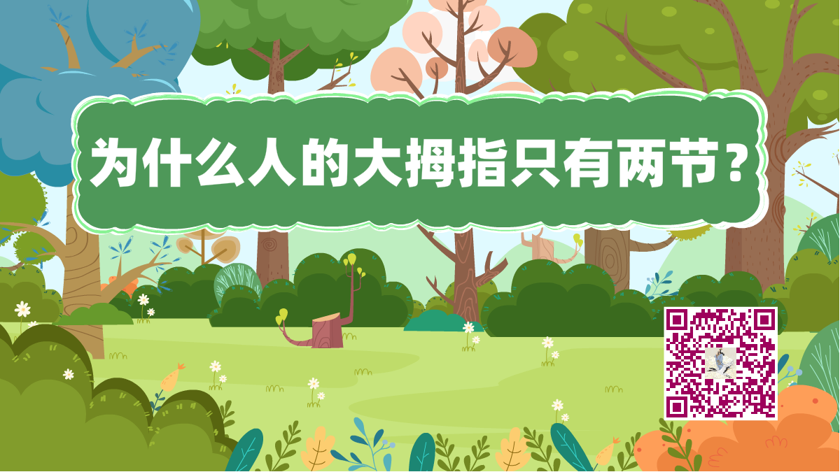十萬個為什么標(biāo)題(大拇指兩節(jié))1200.png 十萬個為什么標(biāo)題(大拇指兩節(jié))1200.png
