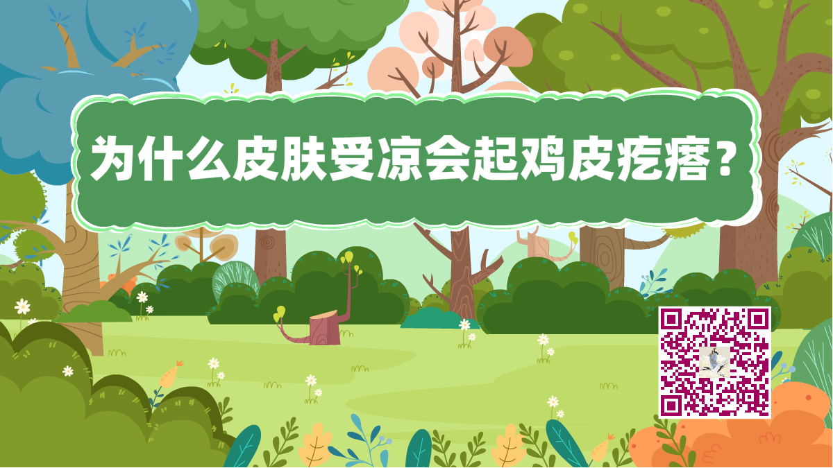 十萬個為什么標(biāo)題(皮膚雞皮疙瘩)1200.png 十萬個為什么標(biāo)題(皮膚雞皮疙瘩)1200.png