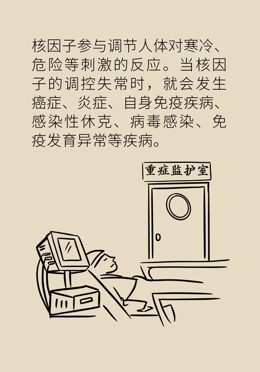 癌癥與睡眠都有那些關(guān)系？