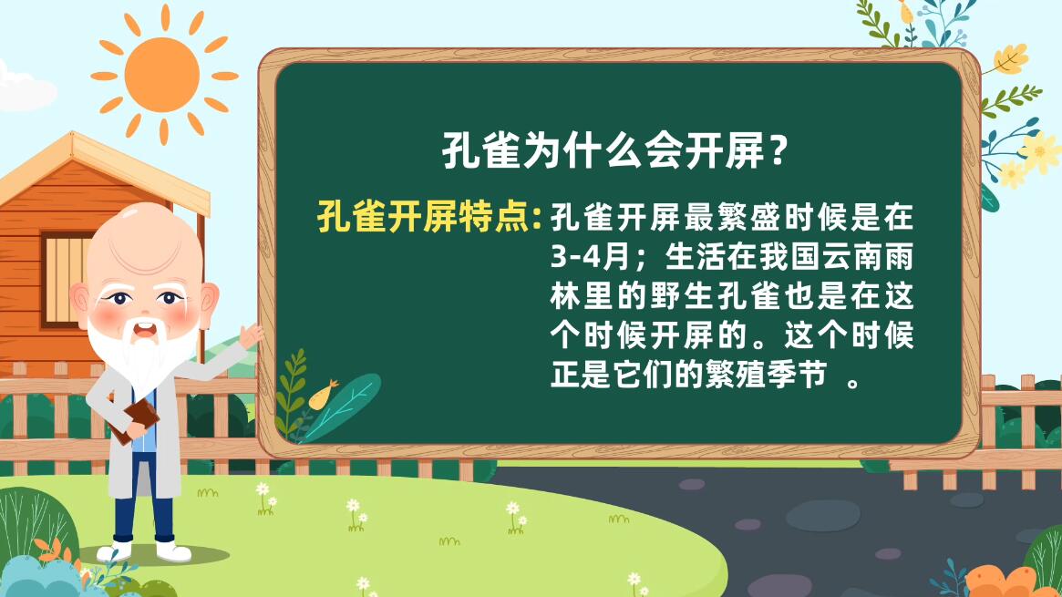 孔雀開屏科普動畫總結(jié) 孔雀開屏科普動畫總結(jié)