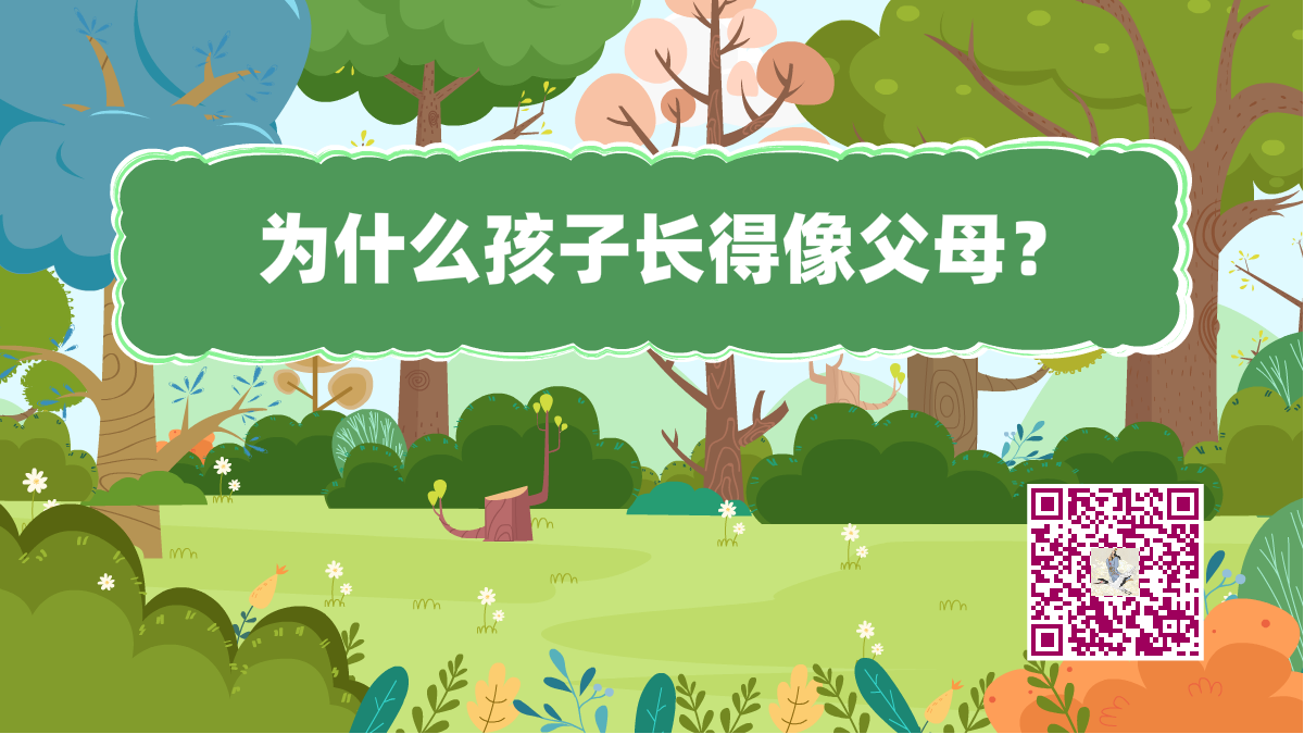 十萬個為什么標(biāo)題(孩子像父母)1200.png 十萬個為什么標(biāo)題(孩子像父母)1200.png