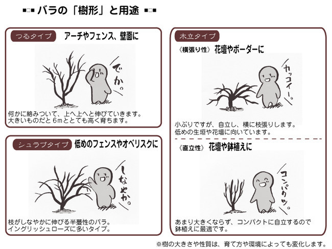 各種花的簡單畫法，一步一步教你畫鮮花