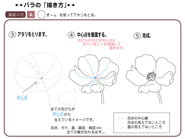 各種花的簡單畫法，一步一步教你畫鮮花
