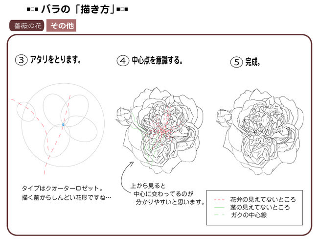 各種花的簡單畫法，一步一步教你畫鮮花