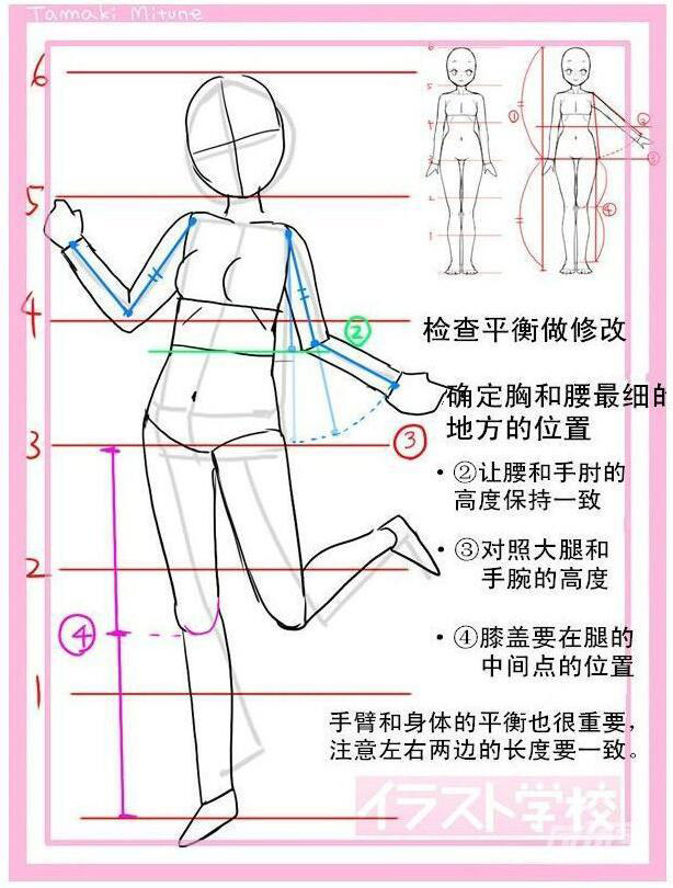 動漫女生頭身比怎么畫？動漫女生頭身比畫法教程五.jpg