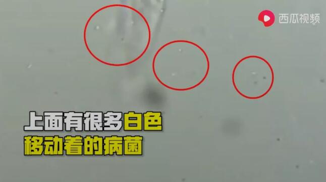 再接著放大到2000倍，可以看到正在口罩上面移動的細菌。.jpg