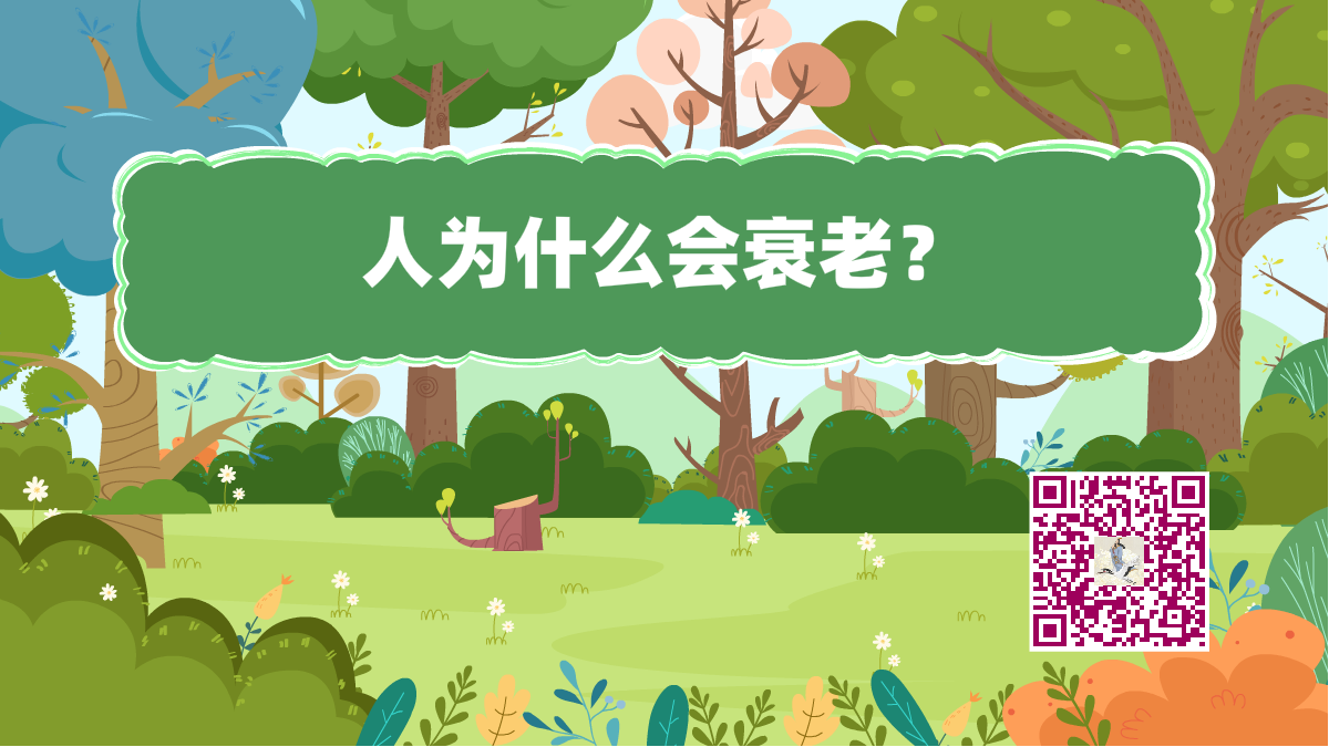 十萬個(gè)為什么標(biāo)題(人衰老)1200.png 十萬個(gè)為什么標(biāo)題(人衰老)1200.png