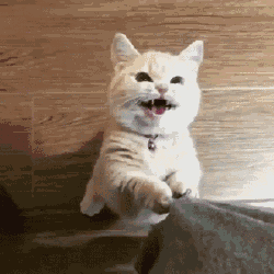 來幫幫動(dòng)畫人.gif 來幫幫動(dòng)畫人.gif