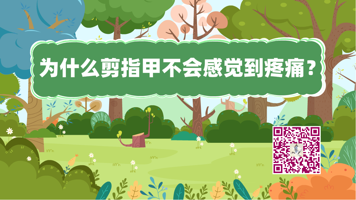 十萬個為什么標(biāo)題(剪指甲)1200.png 十萬個為什么標(biāo)題(剪指甲)1200.png