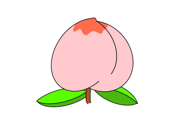 粉色桃子簡筆畫畫法步驟圖片